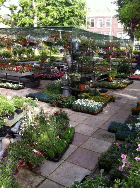 Buitenplanten opgesteld in het tuincentrum