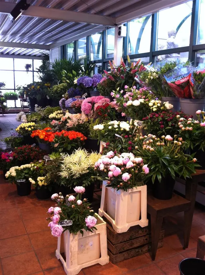 Verse snijbloemen in vele kleuren