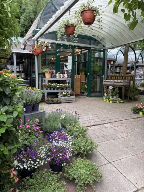 Sfeerfoto van Tuincentrum Hofwijck
