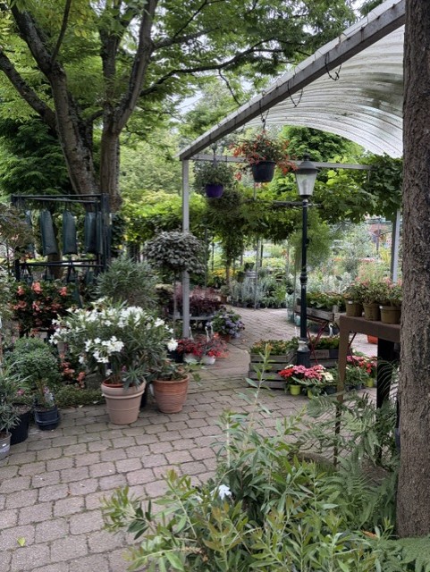 Sfeerfoto van Tuincentrum Hofwijck