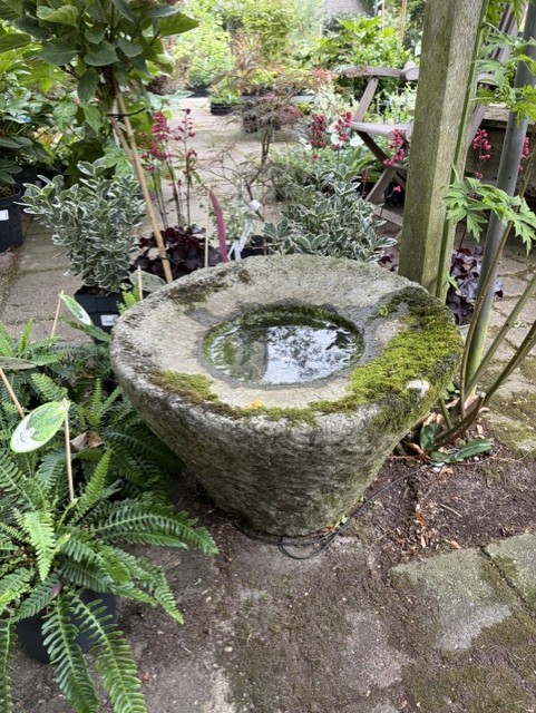 Sfeerfoto van Tuincentrum Hofwijck