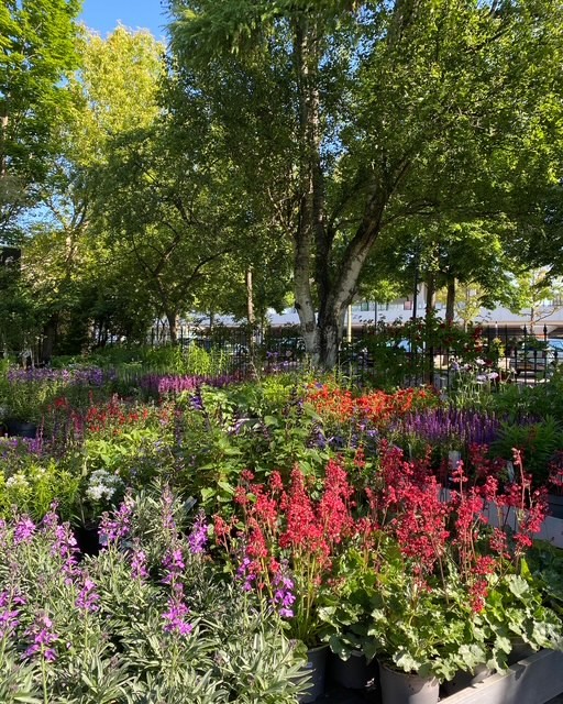 Sfeerfoto van Tuincentrum Hofwijck