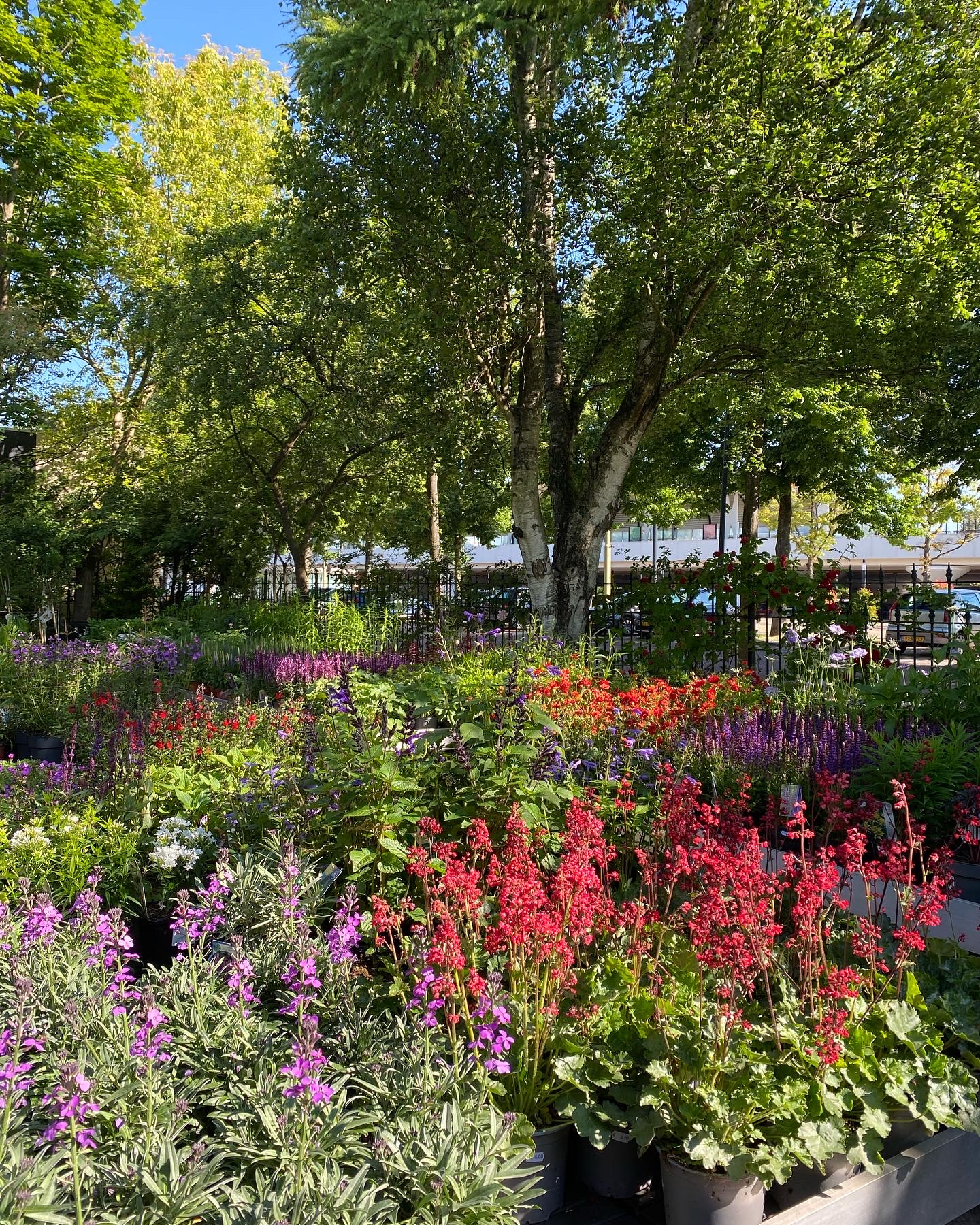 De groene gevel van Tuincentrum Hofwijck