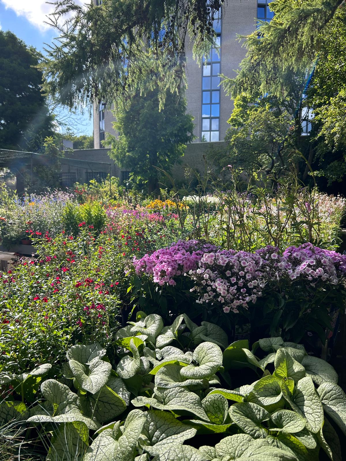 Kamerplanten bij de entree
