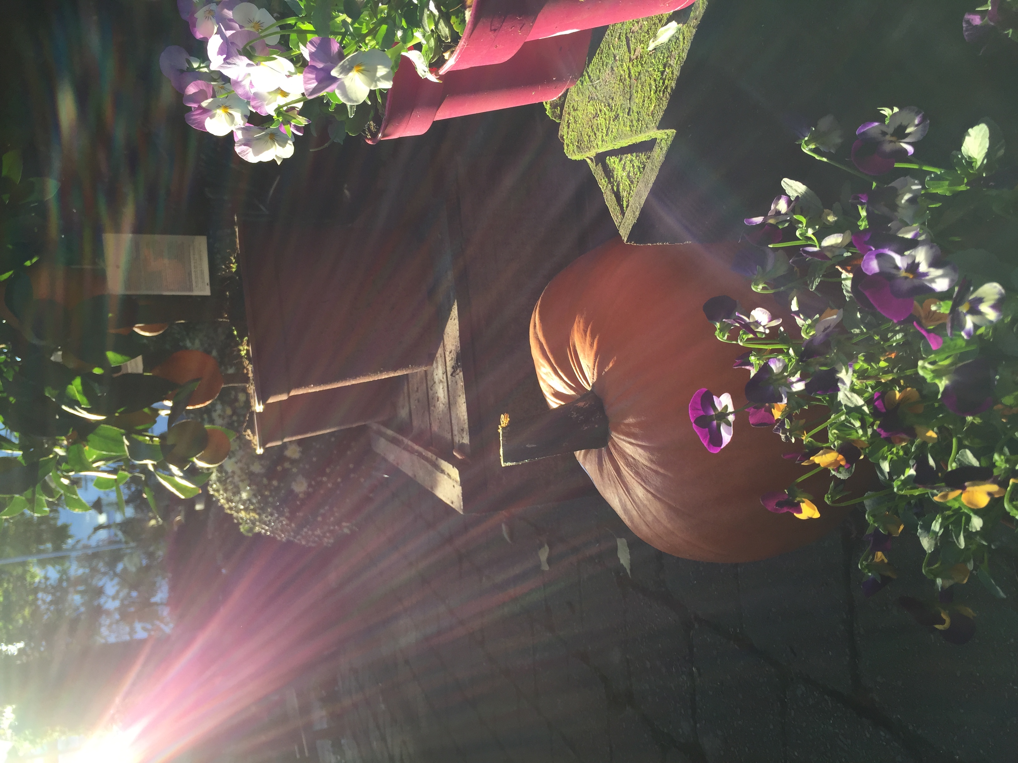 Verse bloemen
