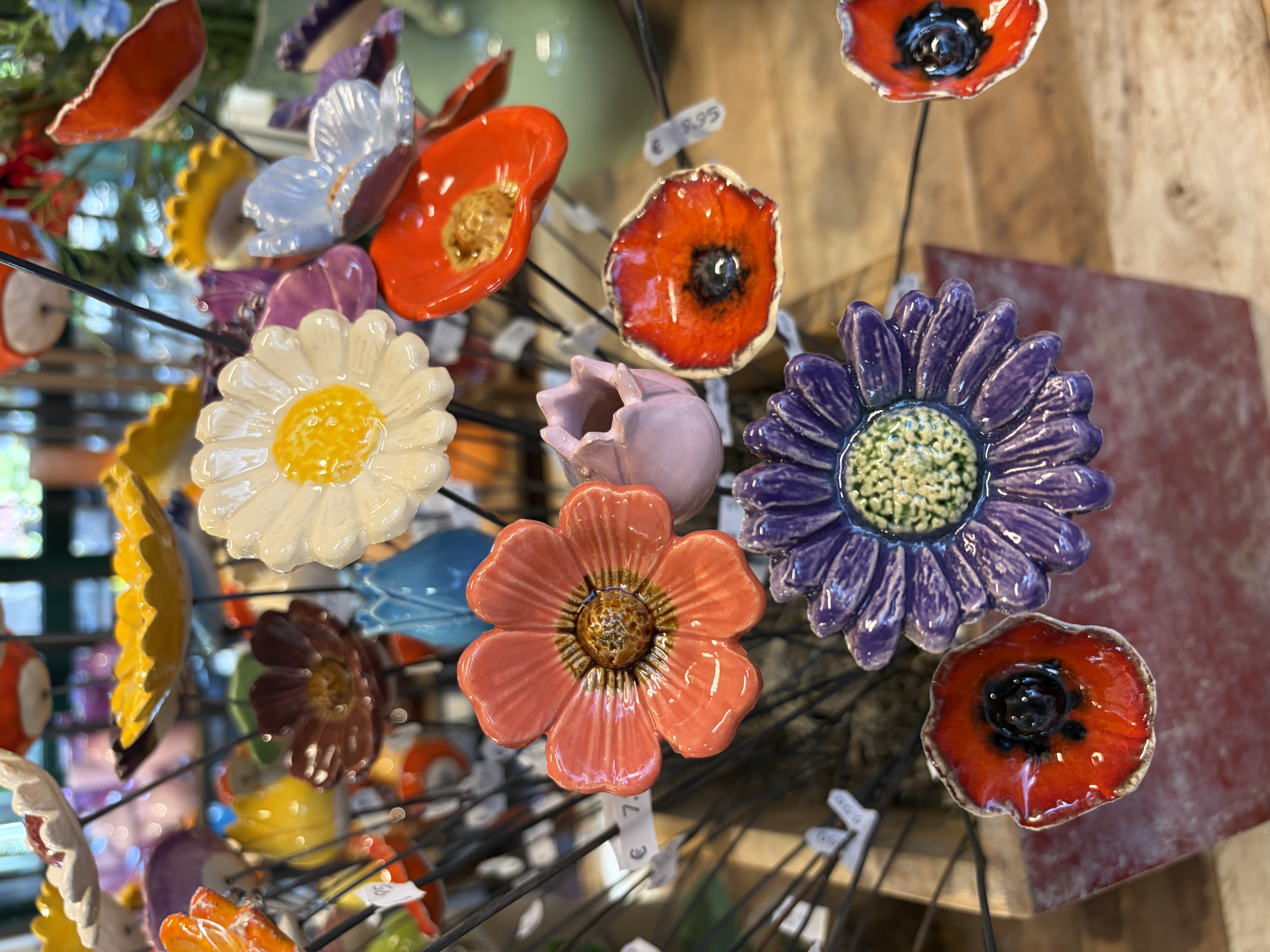 Sfeerfoto van Tuincentrum Hofwijck